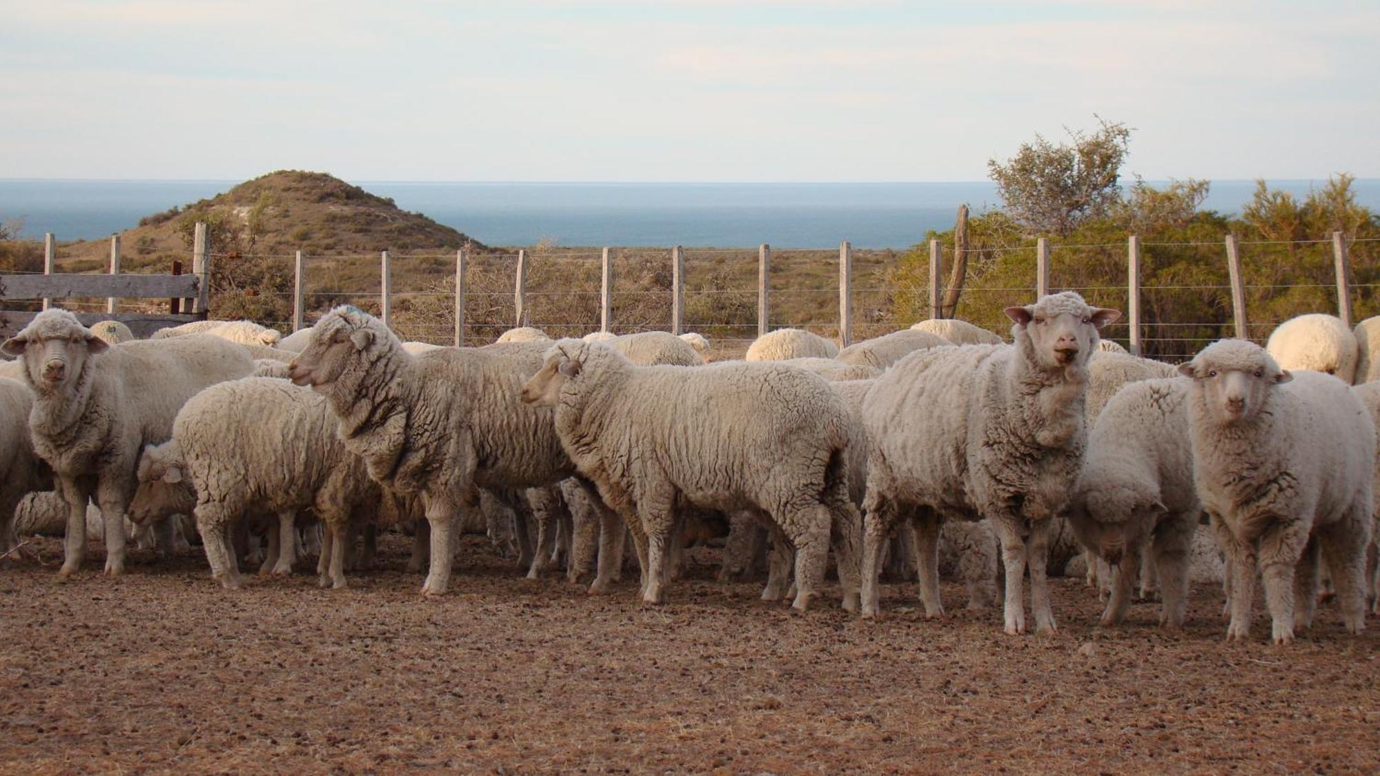 La Antonieta Estancia De Mar Dos Pozos Kültér fotó