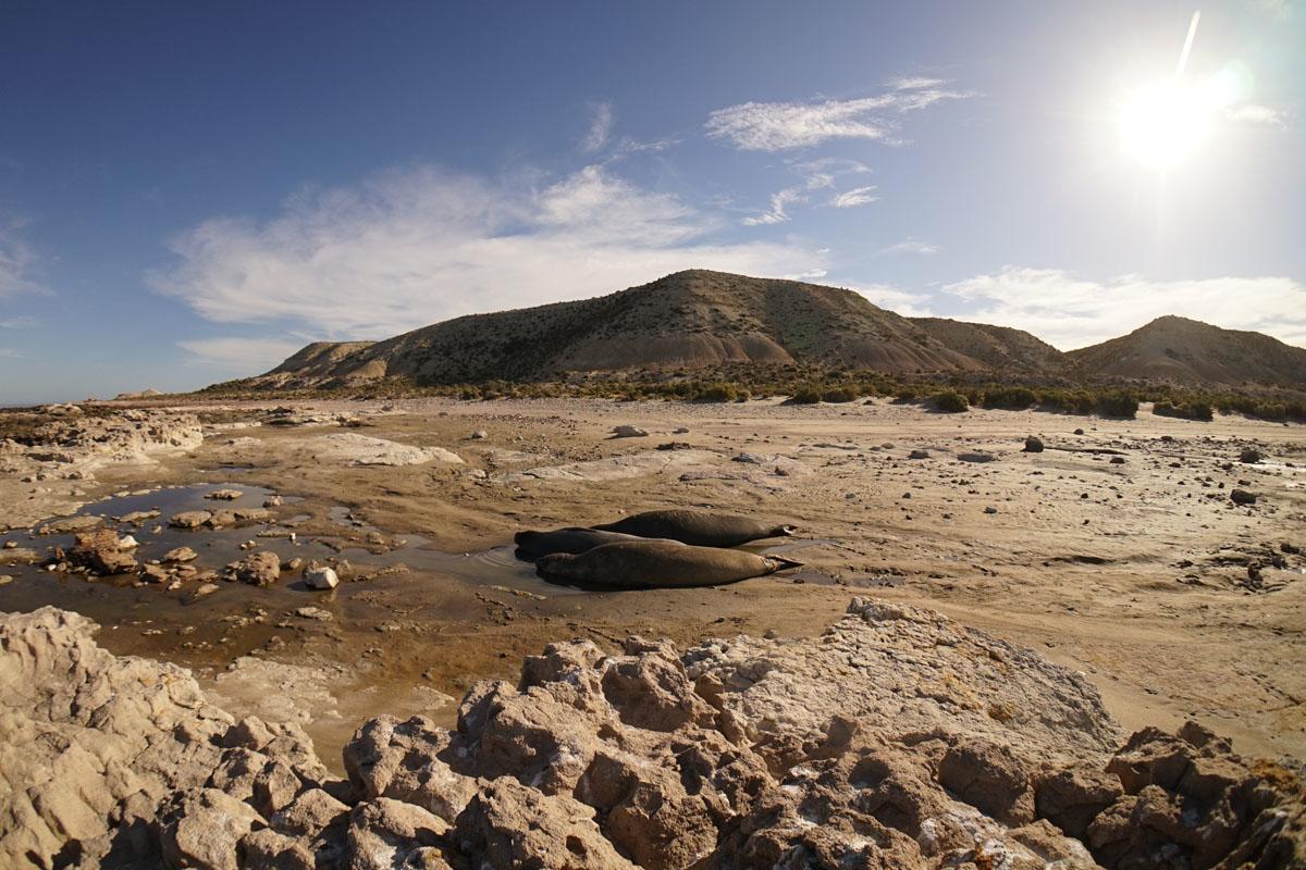 La Antonieta Estancia De Mar Dos Pozos Kültér fotó